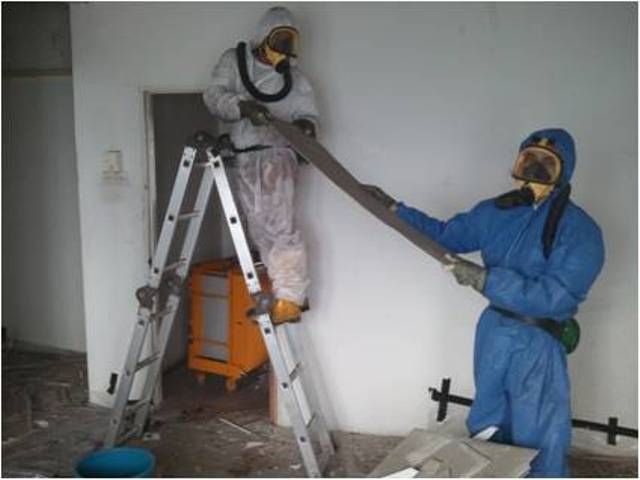 asbestos removal